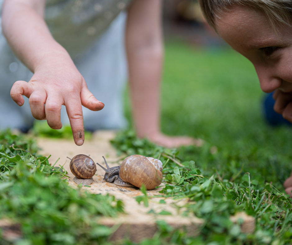 exploring-new-horizons-how-real-world-learning-shapes-young-minds