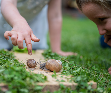 exploring-new-horizons-how-real-world-learning-shapes-young-minds